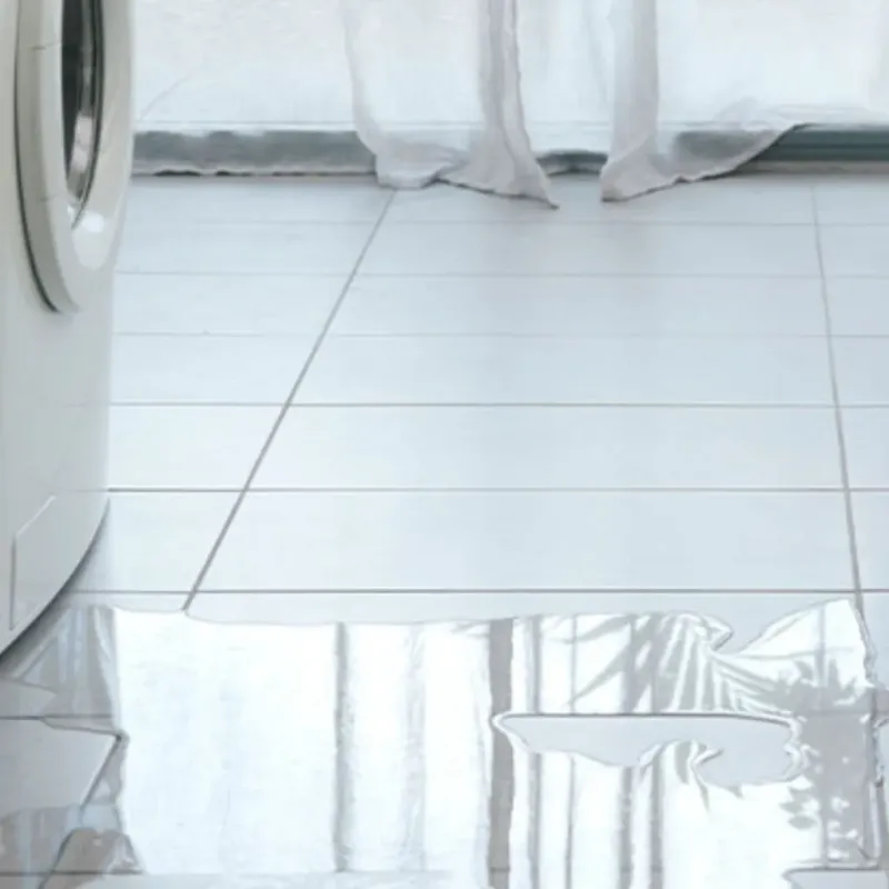 Appliance Leak Cleanup in Princeton, MA