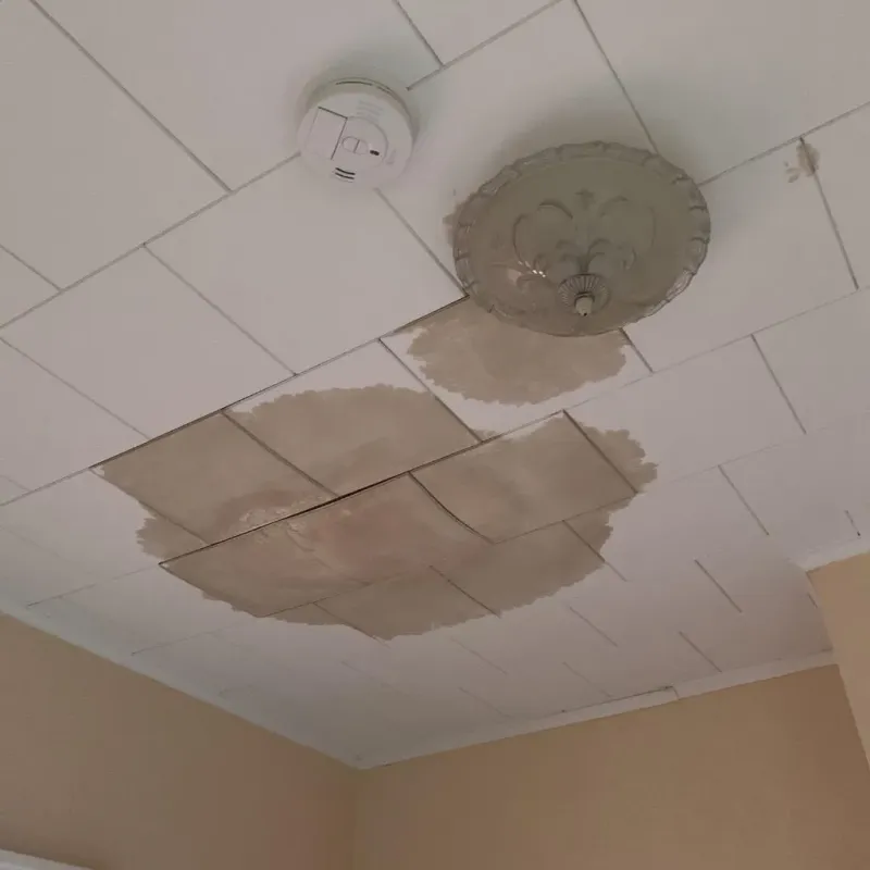 Ceiling Water Damage Repair in Princeton, MA